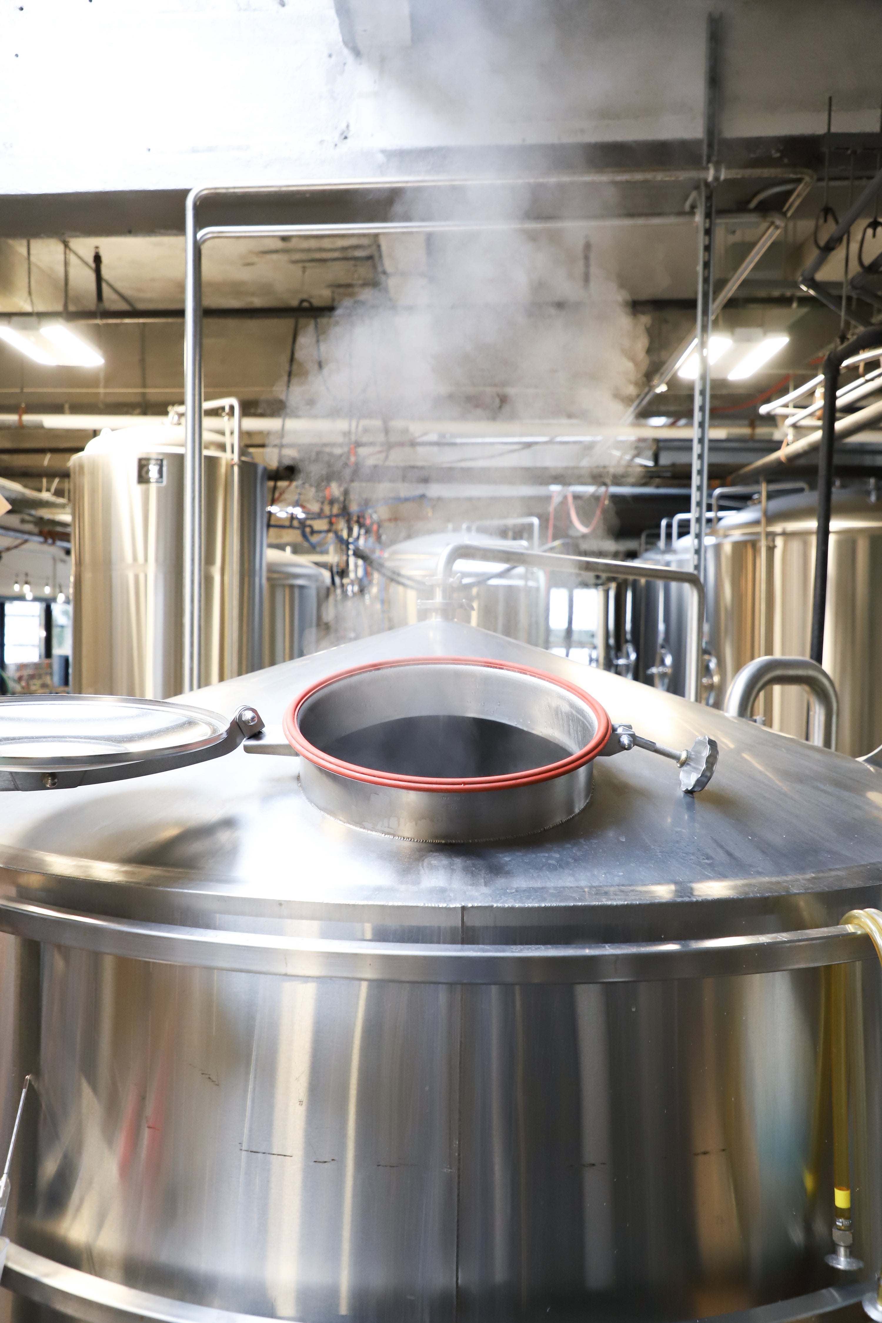Lamplighter Brewing Co. - CX in Cambridge